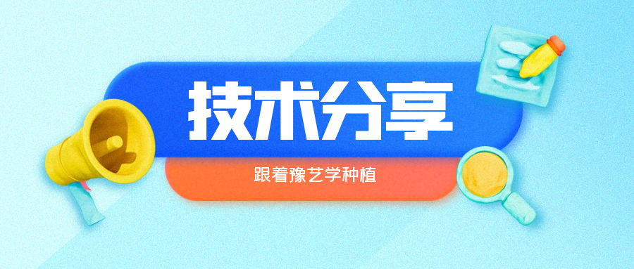 秋大棚辣椒、番茄育苗關(guān)鍵技術(shù)分享
